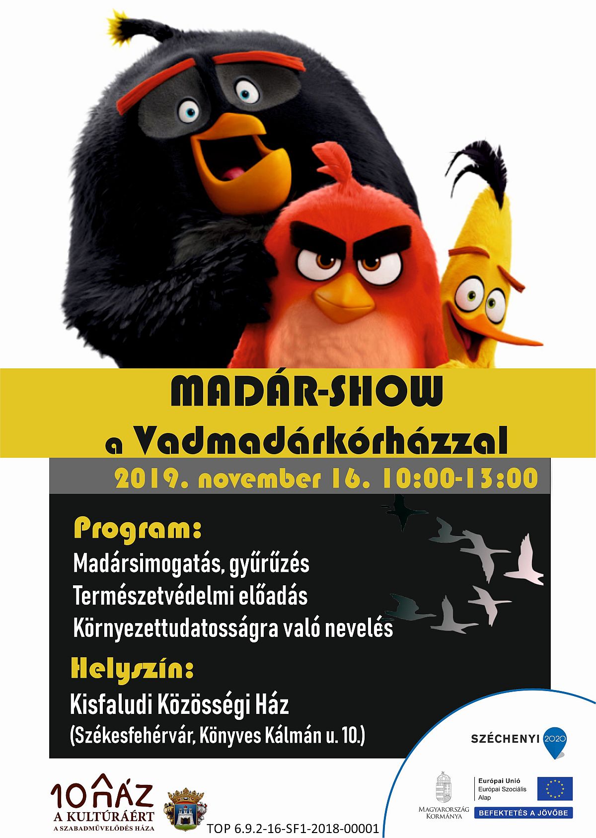 Madár-show lesz szombaton a Vadmadárkórházzal Kisfaludon